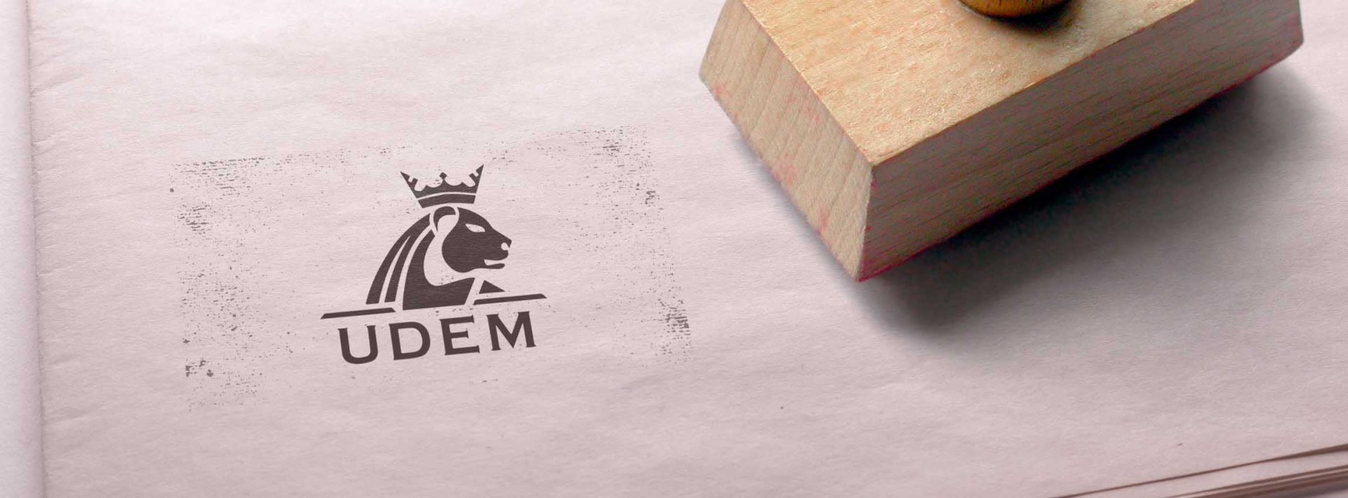 Logo, Marka ve Belge Kullanımı